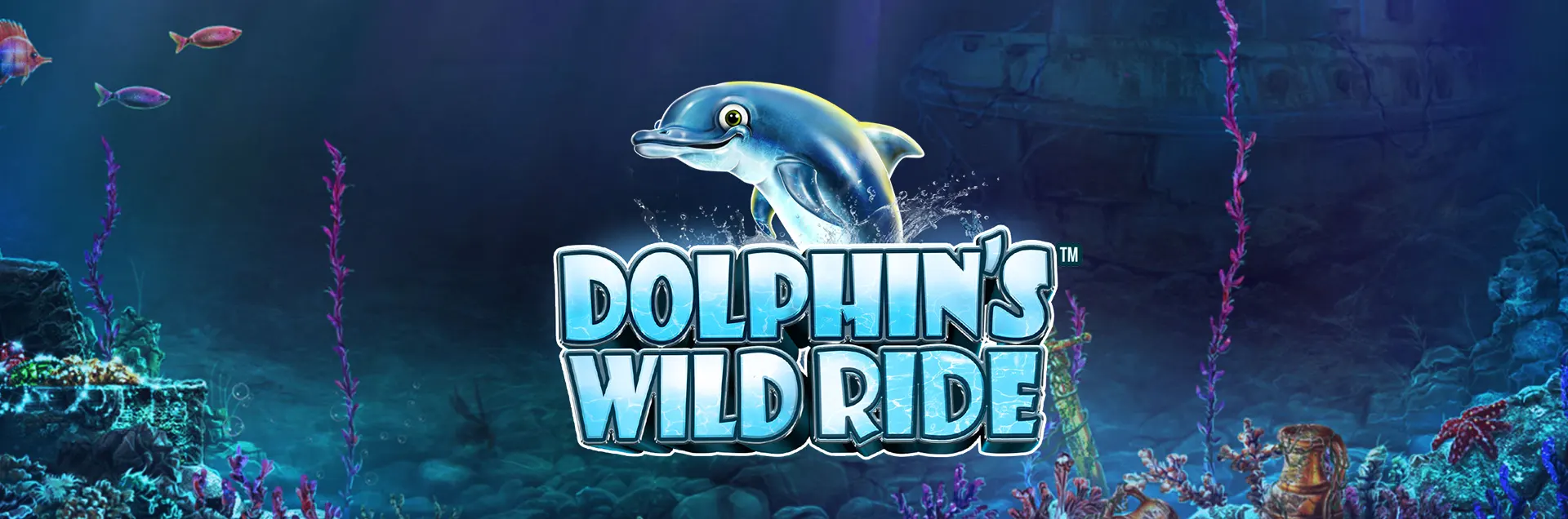 Dolphin's Wild Ride