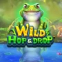 Wild Hop and Drop